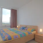 Penthouse 373 Appartamento *